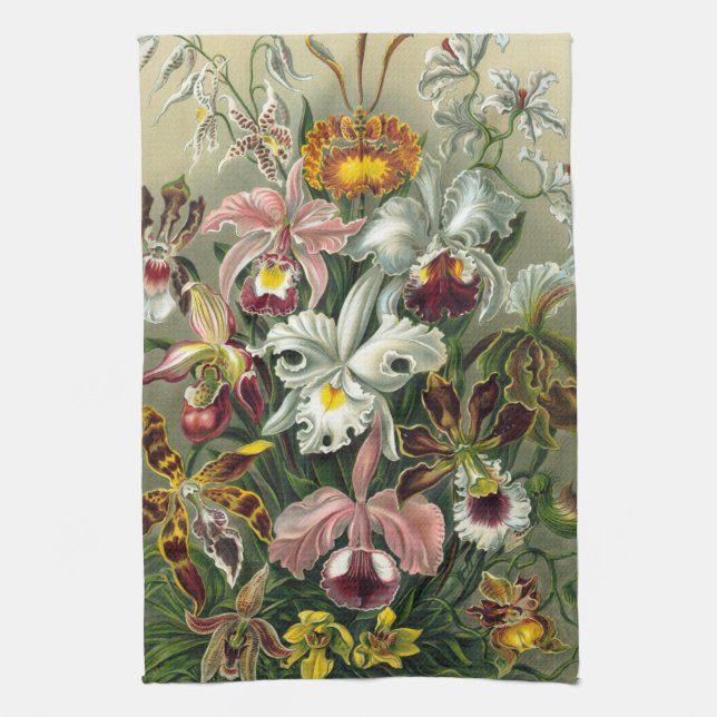Haeckel Orchids Tea Towel (Vertical)
