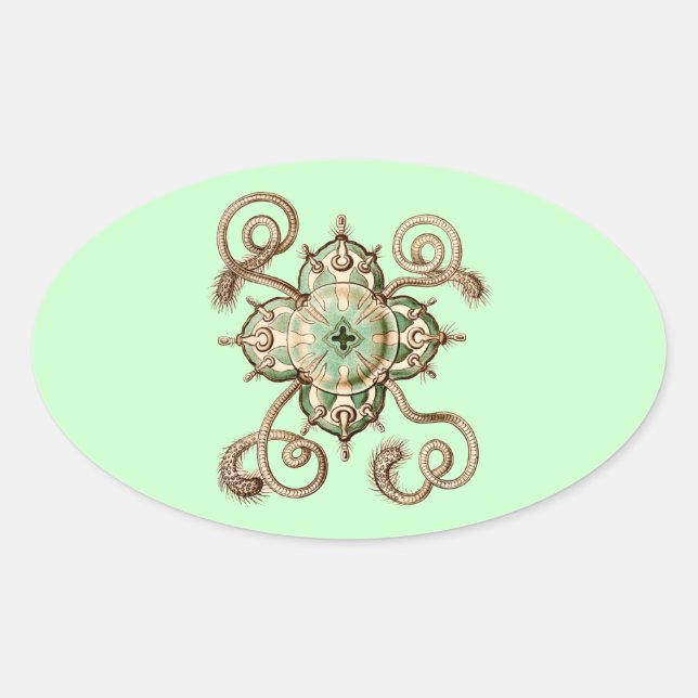 Haeckel Oval Sticker (Front)