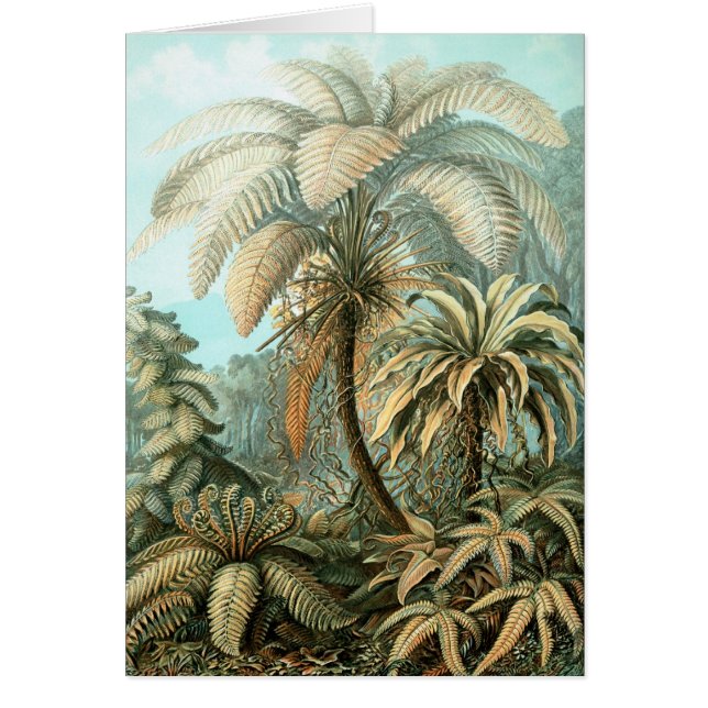 Haeckel Palm Tree (Front)
