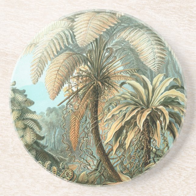 Haeckel Palm Trees Coaster (Front)