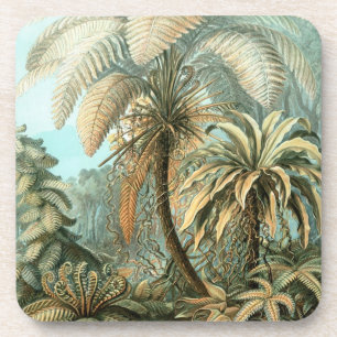 Haeckel Palm Trees Coaster