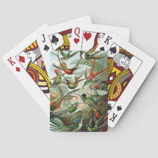 Haeckel Playing Cards