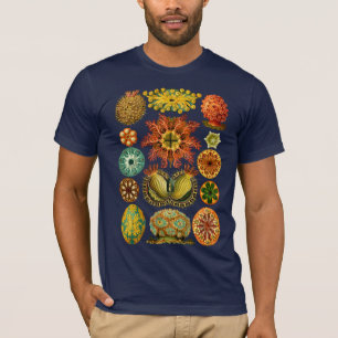 HAECKEL’S ASCIDIACEA - T-Shirt