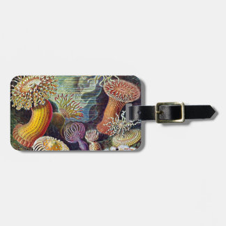 Haeckel Sea Anemone Ocean Life Nature Art Painting Luggage Tag