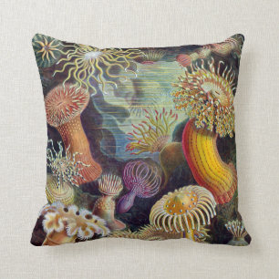 Haeckel ~ Sea Anemones Cushions