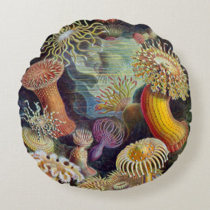 Haeckel ~ Sea Anemones Cushions