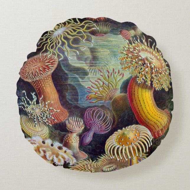 Haeckel ~ Sea Anemones Cushions (Front)