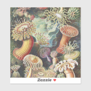Haeckel Sea Anemones Nautical Sea Life Art Collage