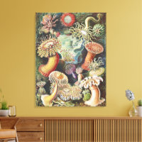 Haeckel Sea Anemones Nautical Sea Life Art Collage