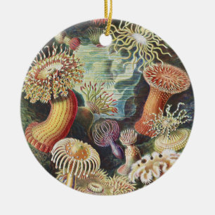 Haeckel Sea Anemones Nautical Sea Life Art Collage Ceramic Tree Decoration
