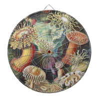 Haeckel Sea Anemones Nautical Sea Life Art Collage