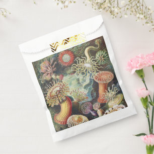 Haeckel Sea Anemones Nautical Sea Life Art Collage Favour Bags