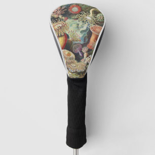 Haeckel Sea Anemones Nautical Sea Life Art Collage Golf Head Cover