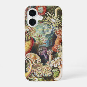 Haeckel Sea Anemones Nautical Sea Life Art Collage iPhone 16 Case