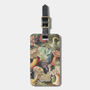Haeckel Sea Anemones Nautical Sea Life Art Collage Luggage Tag