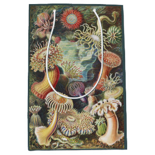 Haeckel Sea Anemones Nautical Sea Life Art Collage Medium Gift Bag