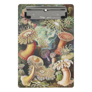 Haeckel Sea Anemones Nautical Sea Life Art Collage Mini Clipboard