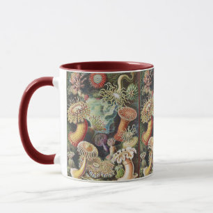 Haeckel Sea Anemones Nautical Sea Life Art Collage Mug