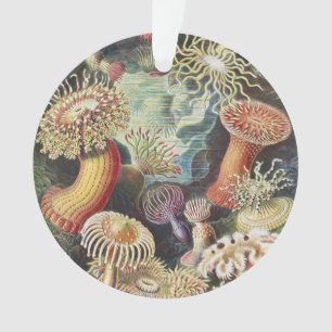 Haeckel Sea Anemones Nautical Sea Life Art Collage Ornament