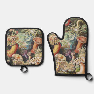 Haeckel Sea Anemones Nautical Sea Life Art Collage Oven Mitt & Pot Holder Set