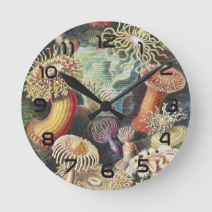 Haeckel Sea Anemones Nautical Sea Life Art Collage Round Clock