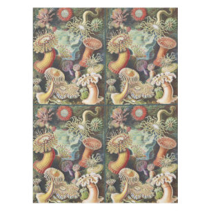 Haeckel Sea Anemones Nautical Sea Life Art Collage Tablecloth