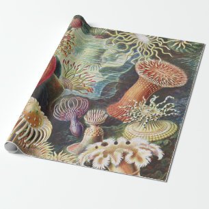 Haeckel Sea Anemones Nautical Sea Life Art Collage Wrapping Paper
