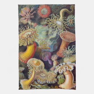 Haeckel Sea Urchins Tea Towel