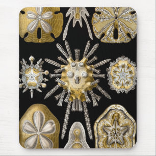 Haeckel Sealife Mouse Mat