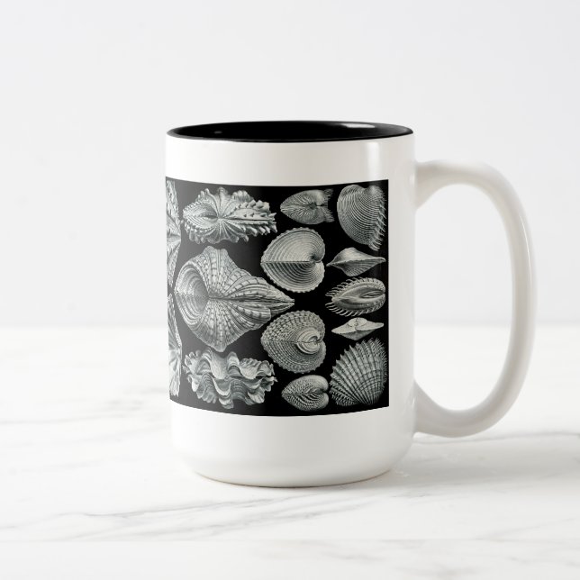 Haeckel Shells Mug (Right)