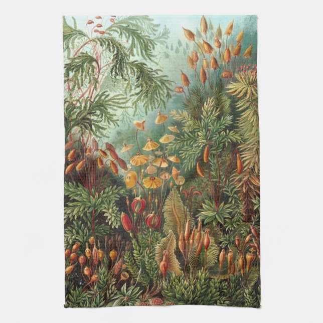 Haeckel Tea Towel (Vertical)
