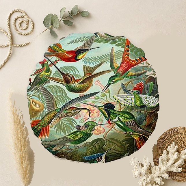 Haeckel Trochilidae Hummingbirds Round Cushion (Creator Uploaded)
