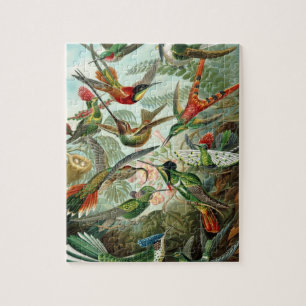 Haeckel Trochilidae Jigsaw Puzzle
