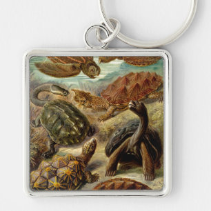 Haeckel Turtles Key Ring