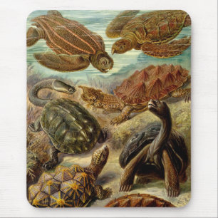 Haeckel Turtles Mouse Mat