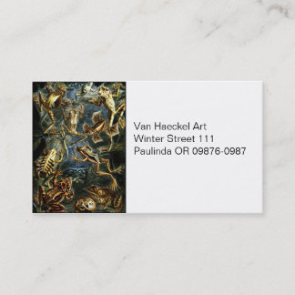 Haeckel Vintage Amphibians Business Card