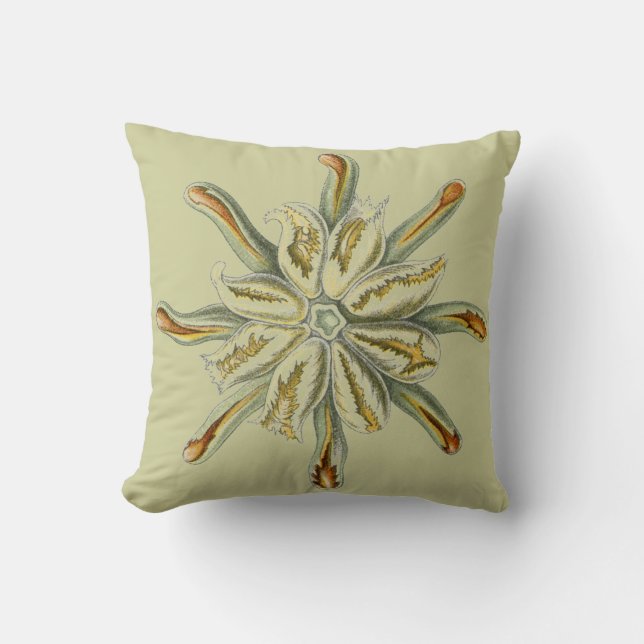 Haeckel vintage sealife cushion (Front)