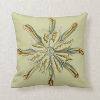 Haeckel vintage sealife cushion