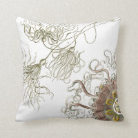Haeckel vintage sealife