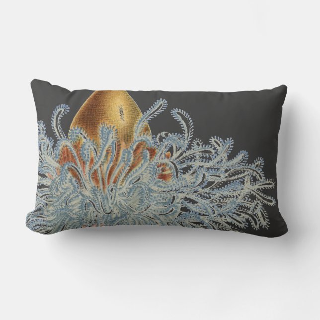Haeckel vintage sealife lumbar cushion (Front)