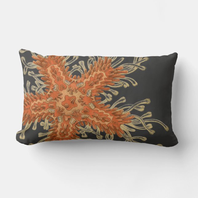 Haeckel vintage sealife lumbar cushion (Front)