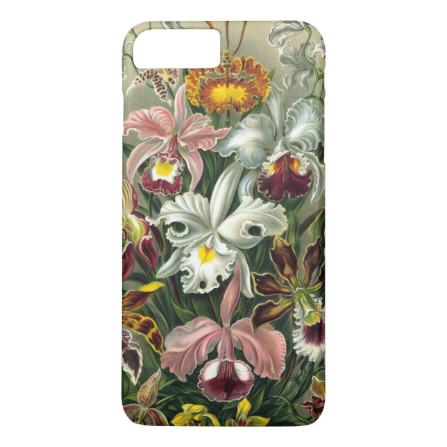 Haeckel's Colourful Orchid Lithograph Case-Mate iPhone Case (Back)