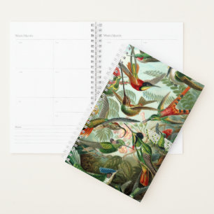 Haeckel's Hummingbirds Planner