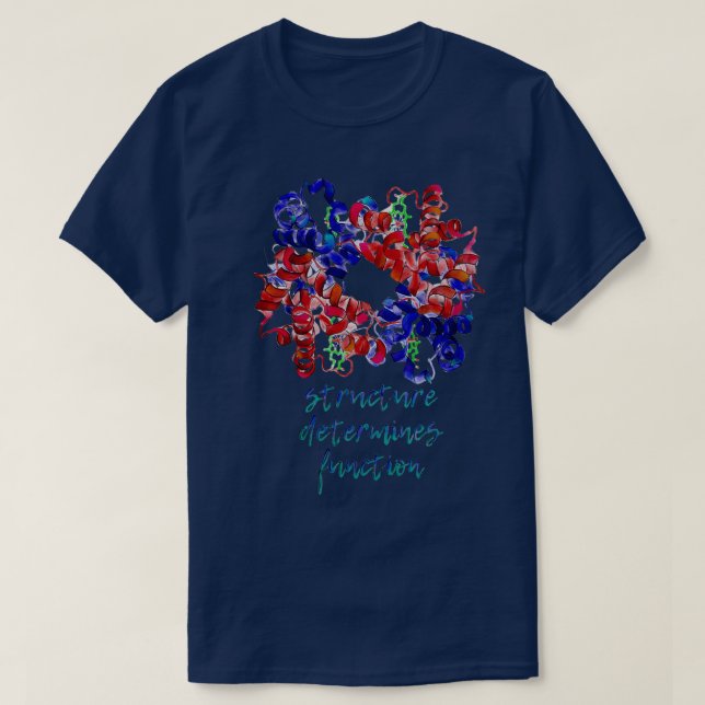 Haemoglobin structure determines function T-Shirt (Design Front)
