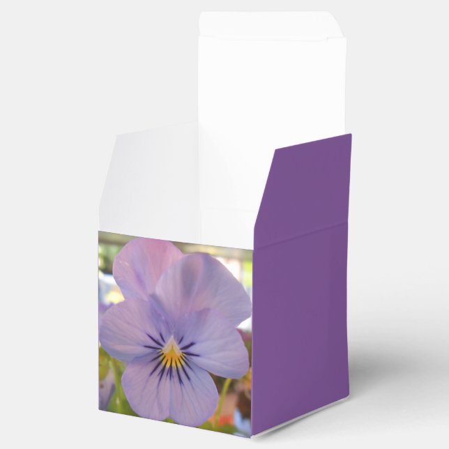 Haetzlern Favour Box (Opened)