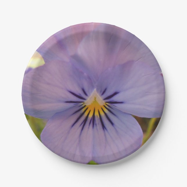 Haetzlern Paper Plate (Front)