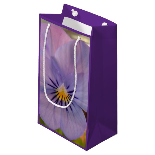 Haetzlern Small Gift Bag (Front Angled)