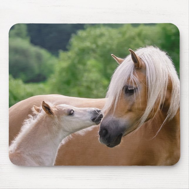 Haflinger Cute Horses Foal and Mom Cuddling Kiss - Mouse Mat (Front)