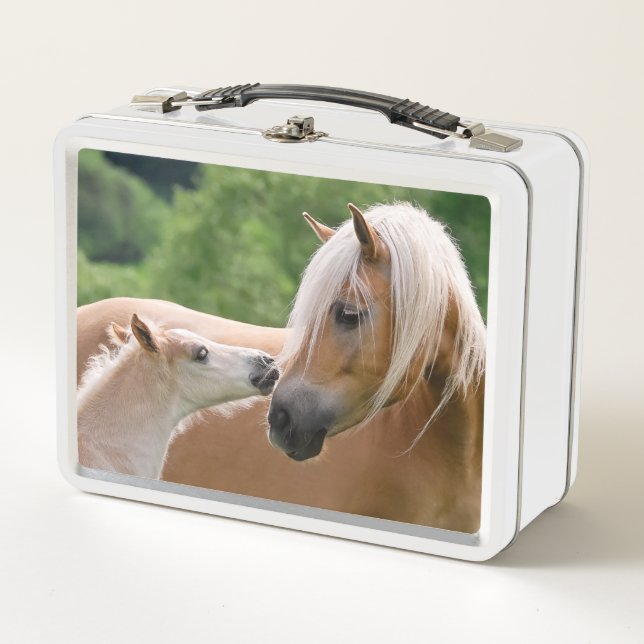 Haflinger Cute Horses Foal and Mum Cuddling Kiss / Metal Lunch Box (Front)