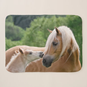 Haflinger Cute Horses Foal and Mum Cuddling Kiss Sherpa Blanket